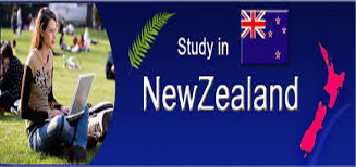 study in newzeland